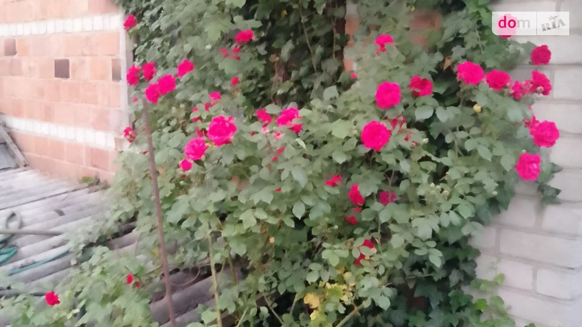 Продается дом на 2 этажа 32 кв. м с участком, цена: 12000 $ - фото 3