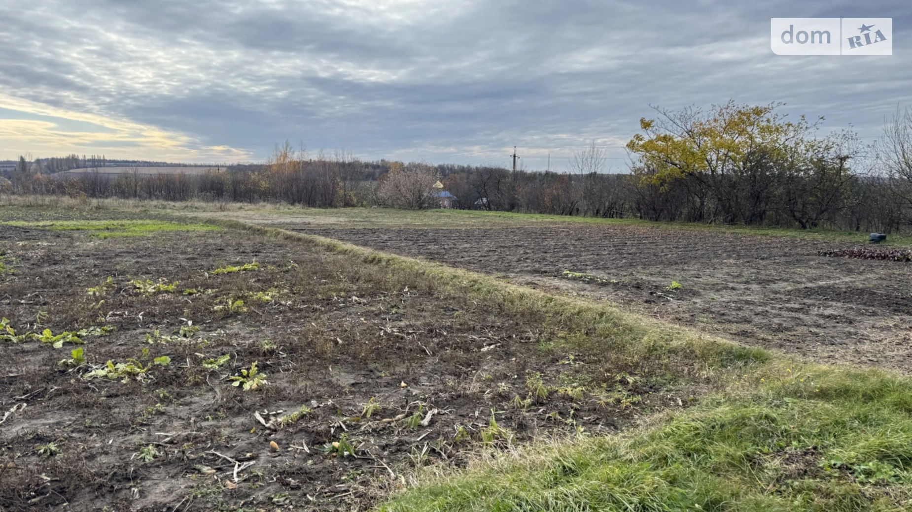 Продается земельный участок 20 соток в Хмельницкой области, цена: 12000 $ - фото 4
