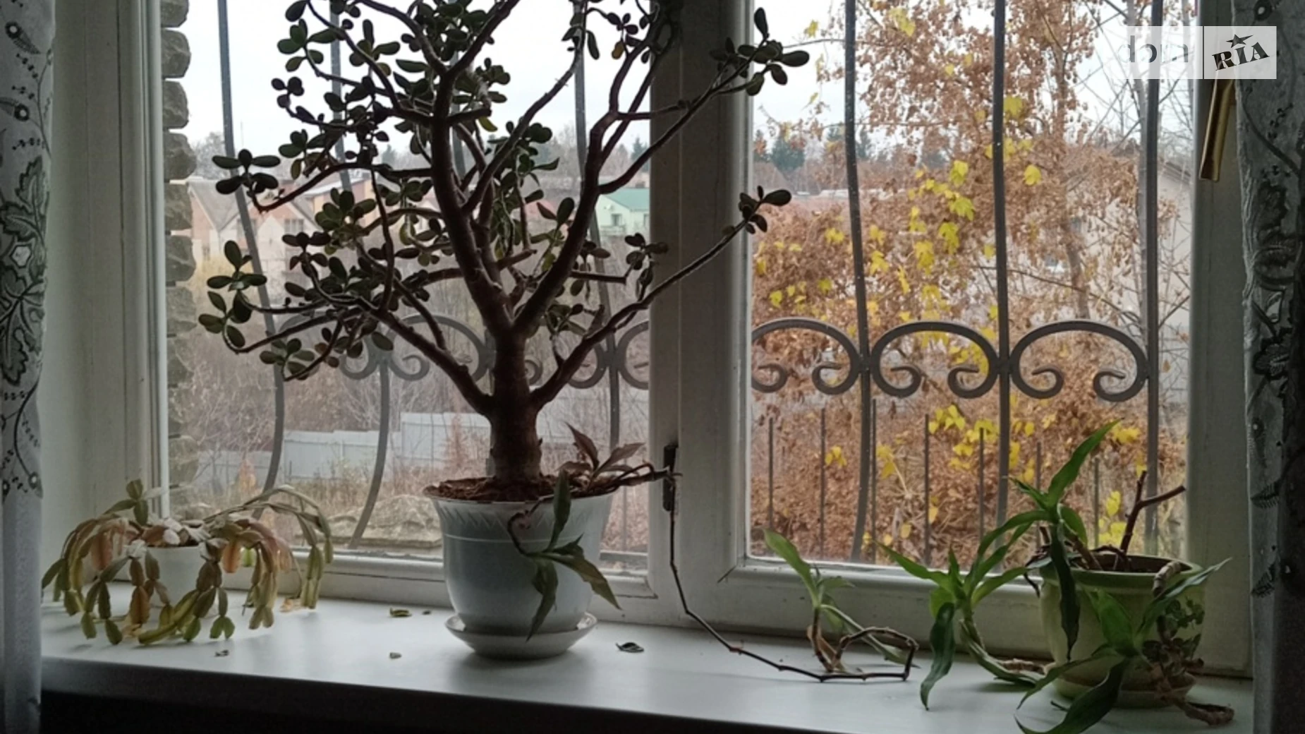 Сдается в аренду дом на 2 этажа 80 кв. м с подвалом, цена: 10000 грн - фото 3