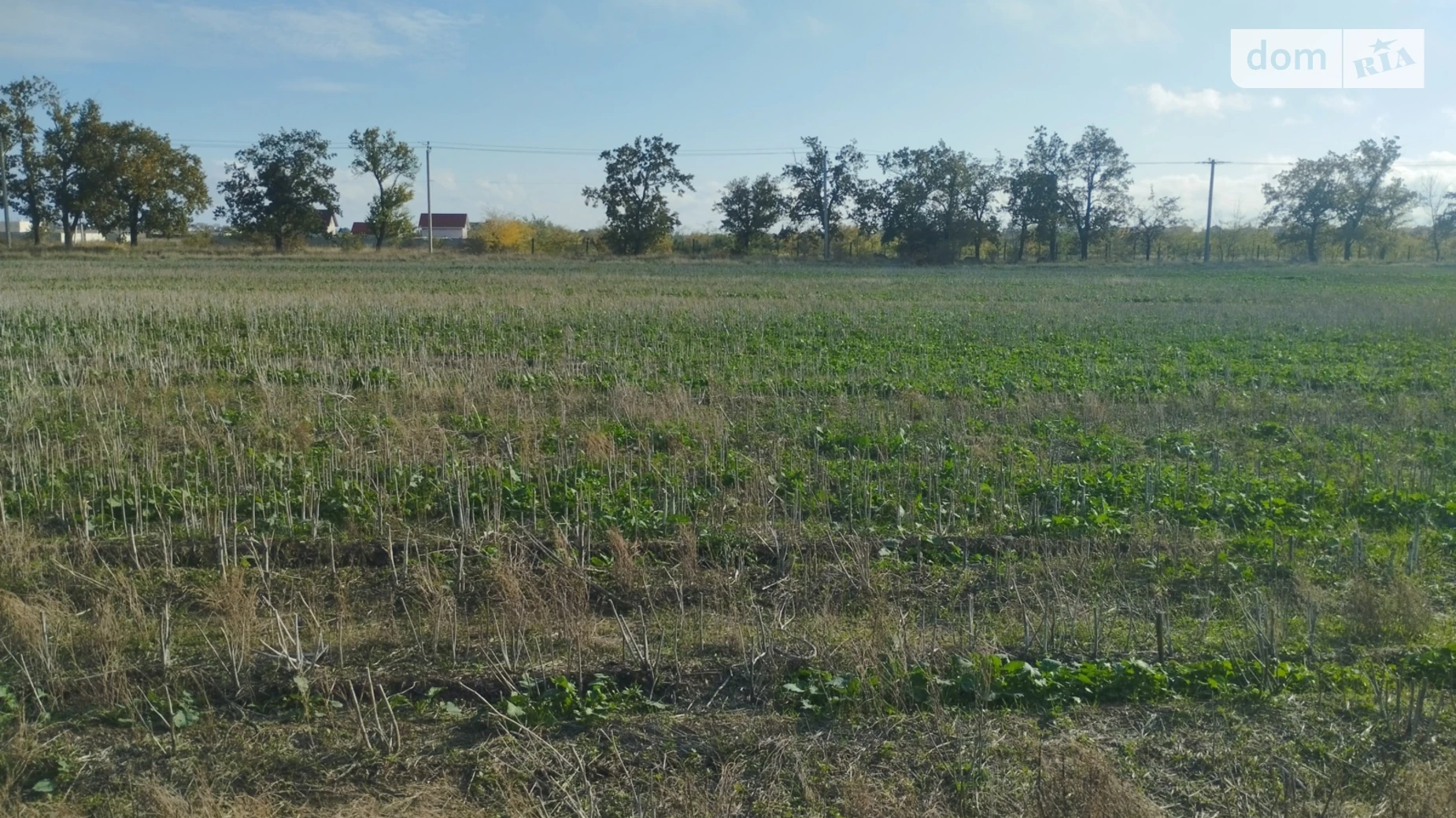 Окружна Фонтанка (Коминтерновское), цена: 10000 $ - фото 4