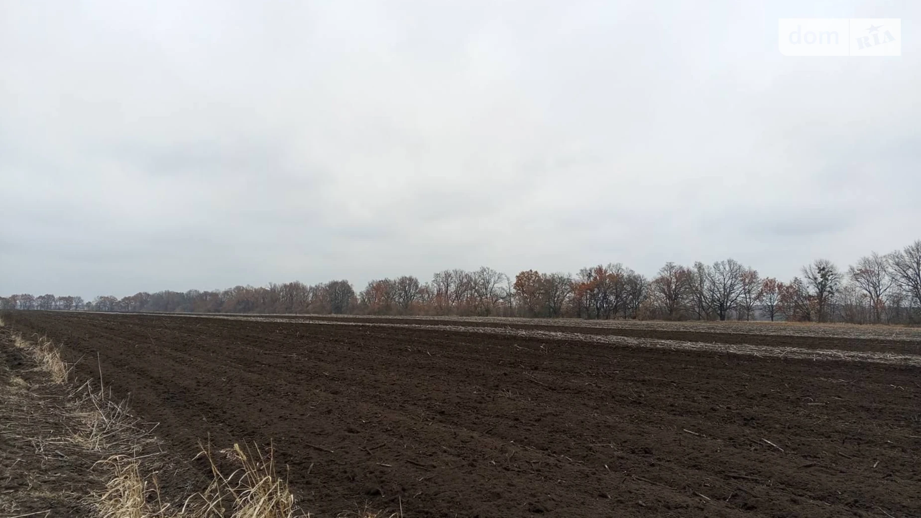 Сдается в аренду земельный участок 2 соток в Полтавской области, цена: 8539 грн - фото 2