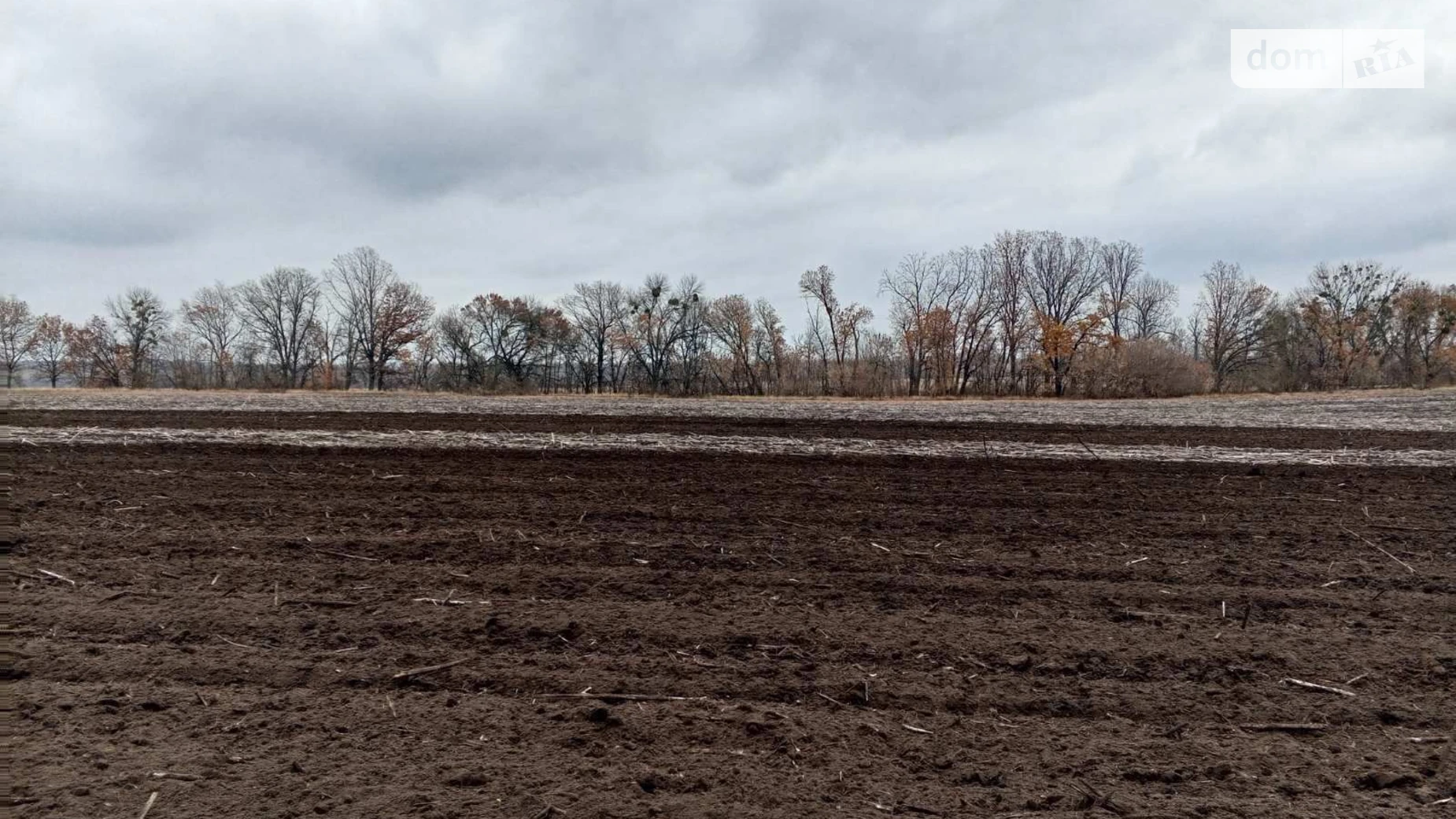 Сдается в аренду земельный участок 2 соток в Полтавской области, цена: 8539 грн - фото 3