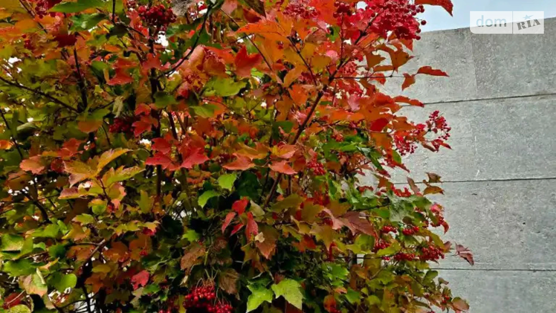 Продается дом на 2 этажа 152 кв. м с подвалом, цена: 160000 $ - фото 4