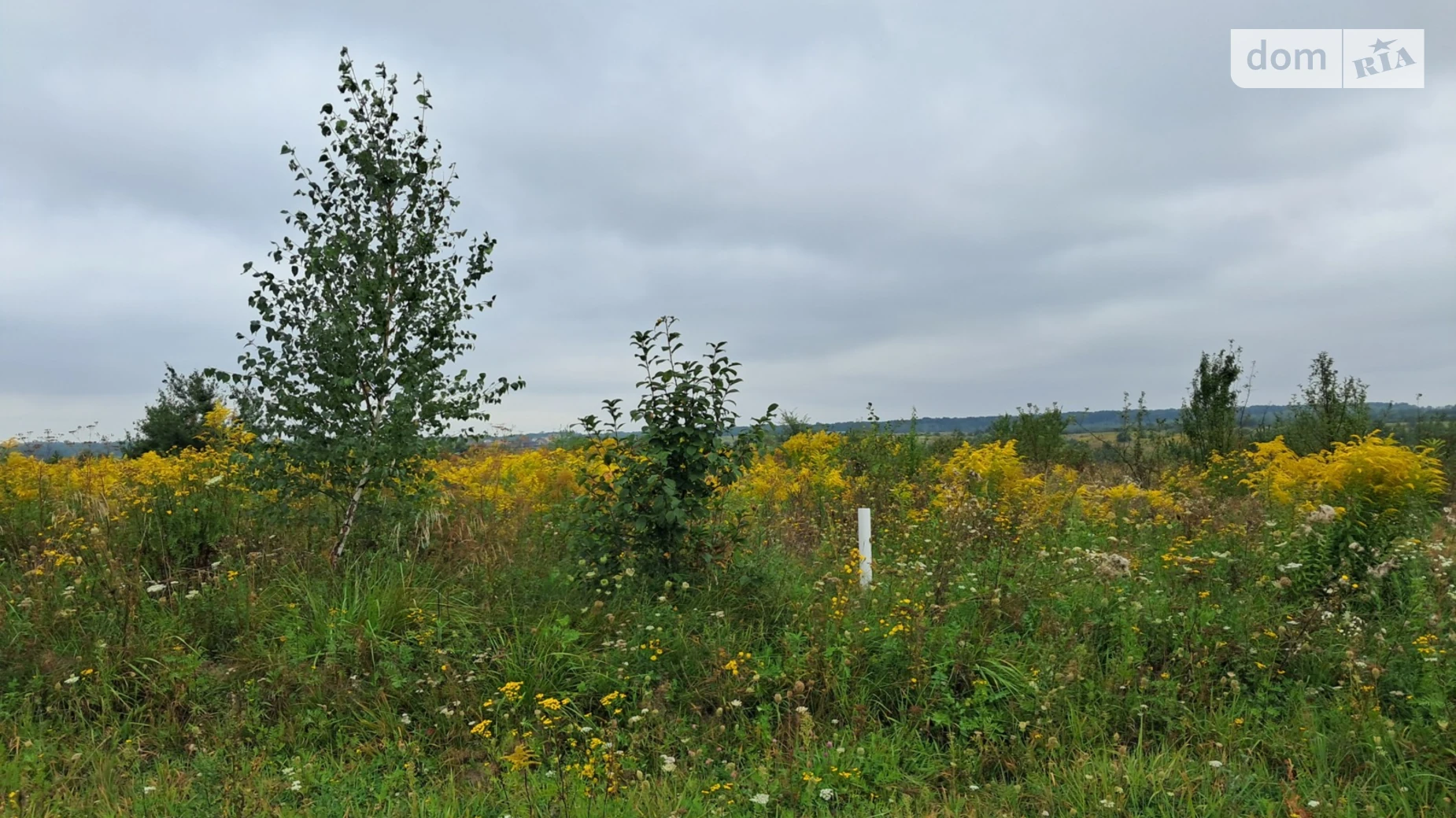 Продается земельный участок 14.4 соток в Львовской области, цена: 29000 $ - фото 3
