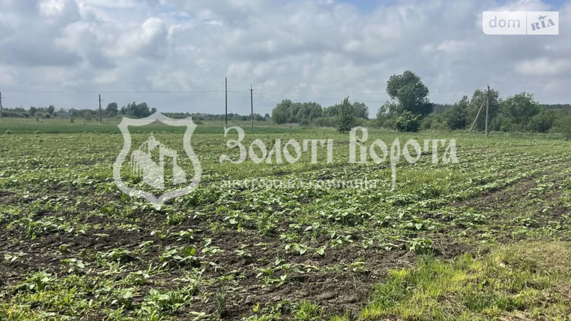 Продается земельный участок 29.48 соток в Киевской области, цена: 11000 $ - фото 2