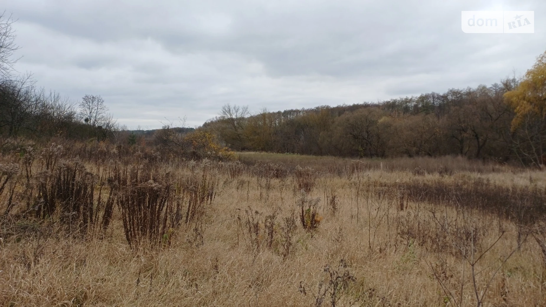 ул. Шевченко Прибужское (Шкуринци), цена: 50000 $ - фото 5