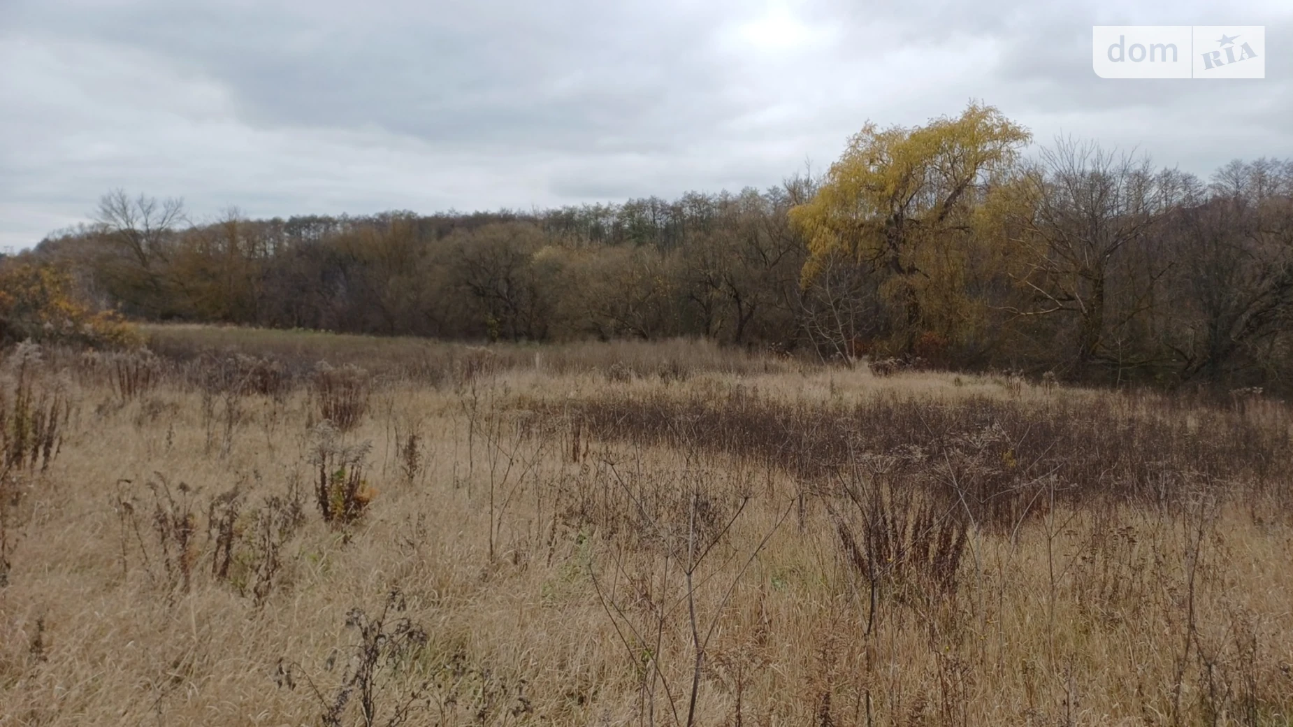ул. Шевченко Прибужское (Шкуринци), цена: 50000 $ - фото 4