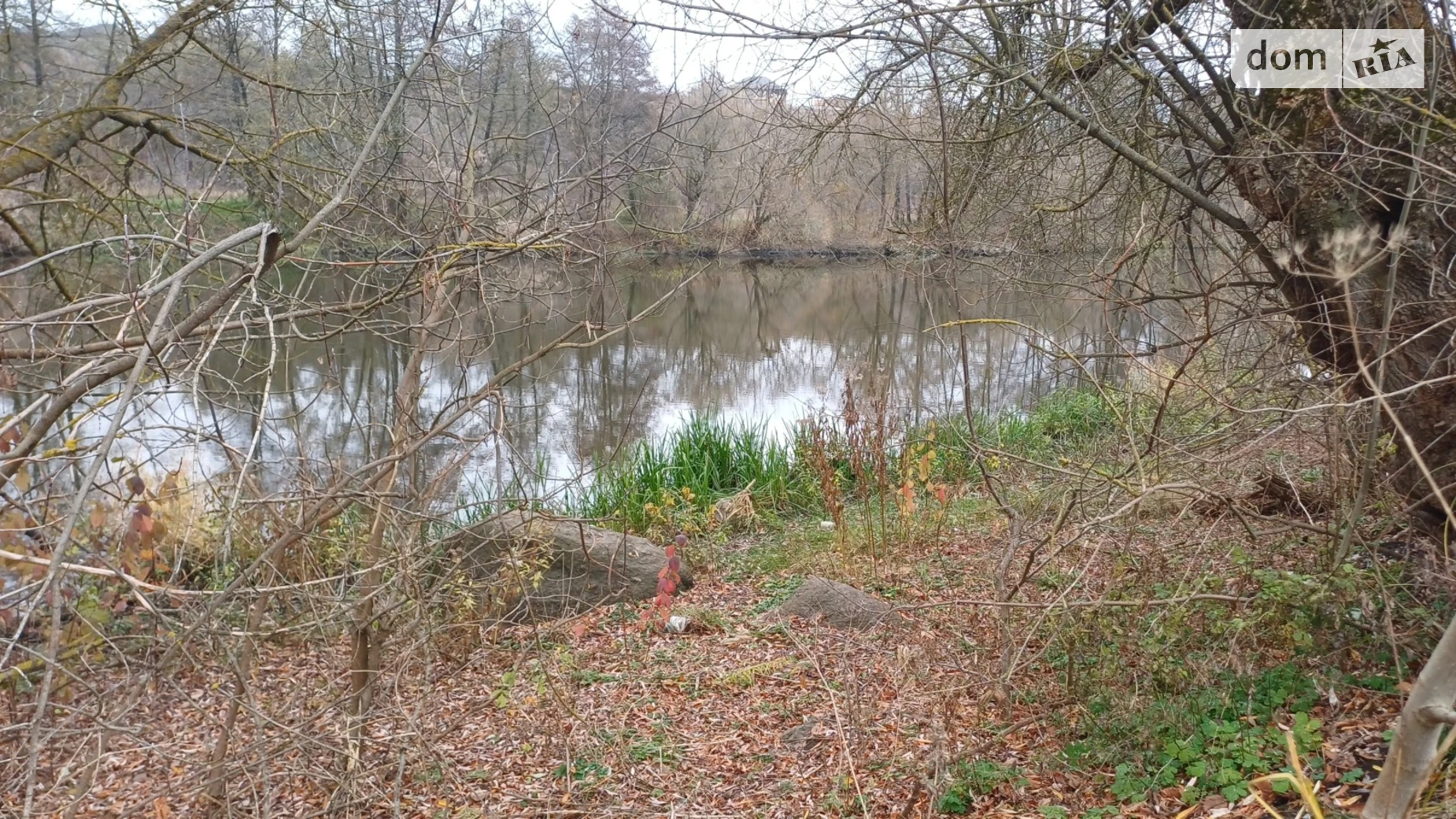 ул. Шевченко Прибужское (Шкуринци), цена: 50000 $ - фото 2