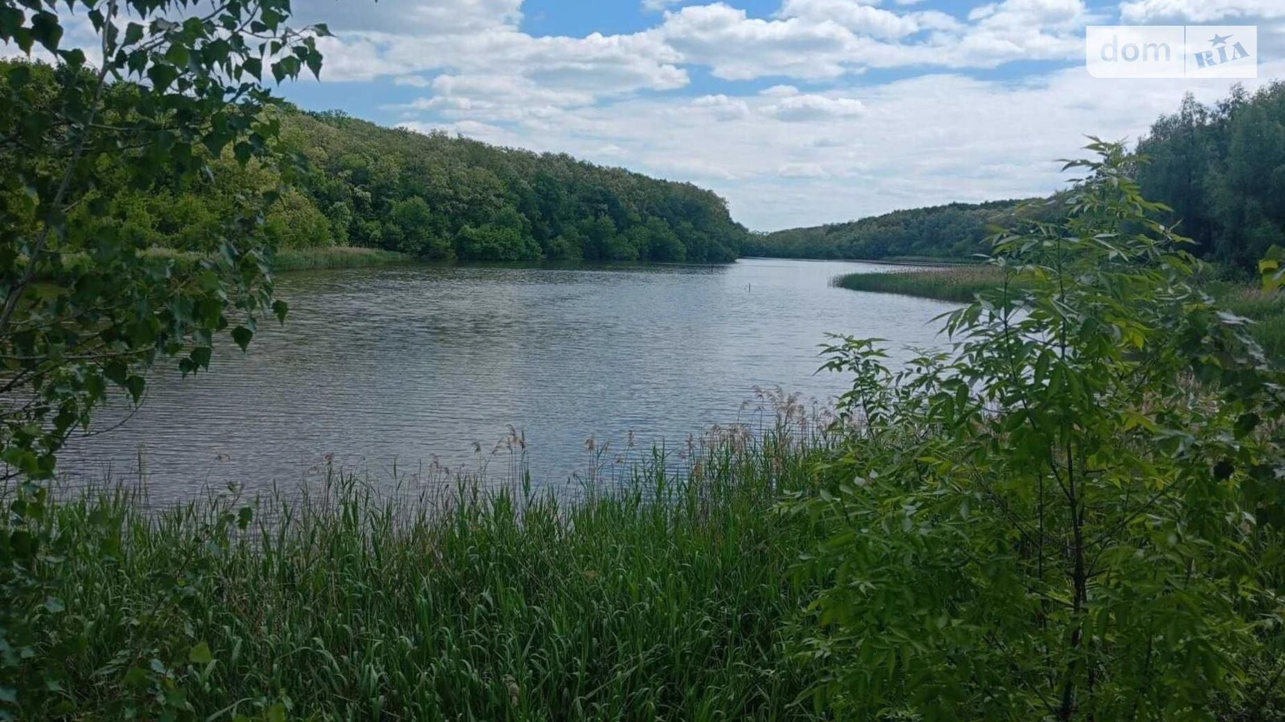 Здається в оренду земельна ділянка 8.0372 соток у Кіровоградській області, цена: 12651 грн - фото 2