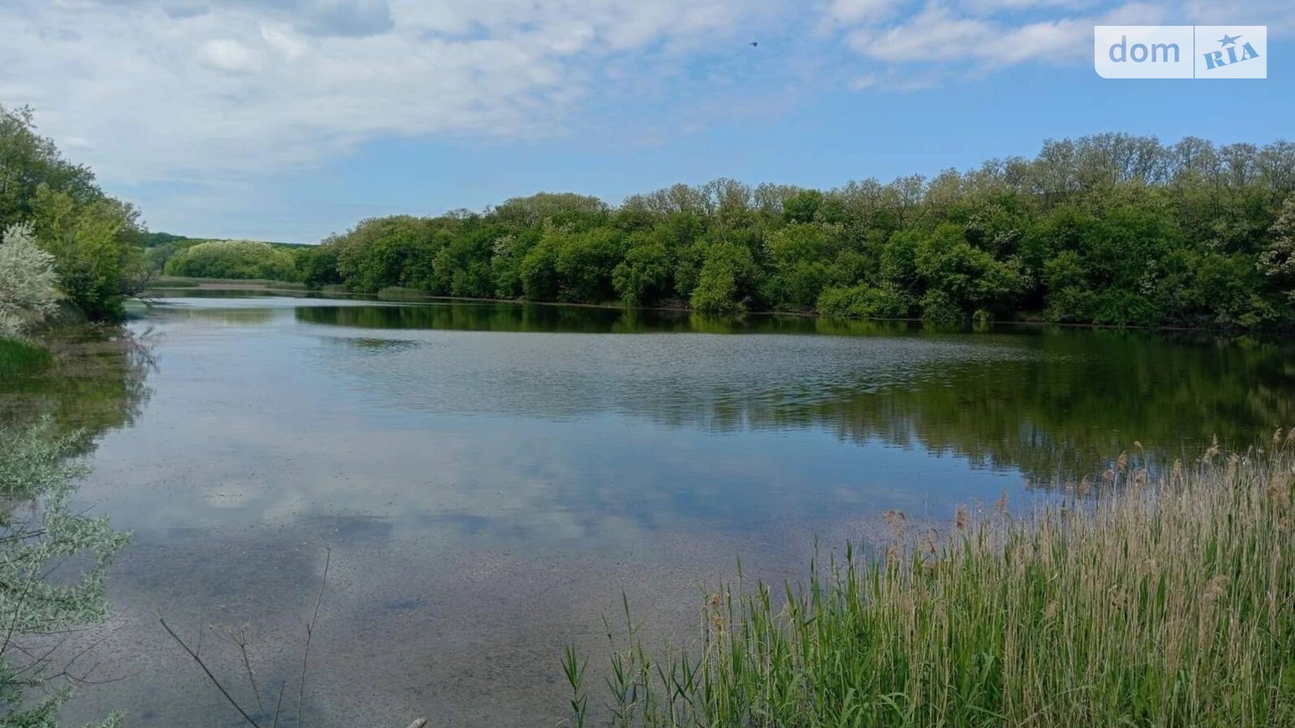 Здається в оренду земельна ділянка 4.9972 соток у Кіровоградській області, цена: 7772 грн - фото 2