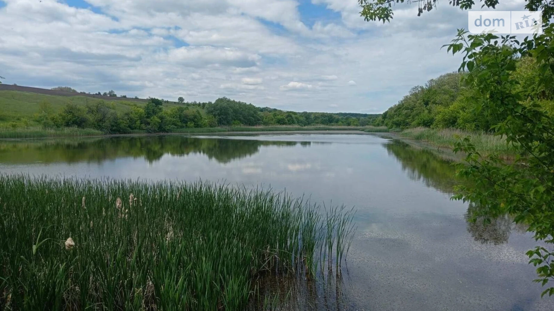 Здається в оренду земельна ділянка 6.7778 соток у Кіровоградській області, цена: 11981 грн - фото 2