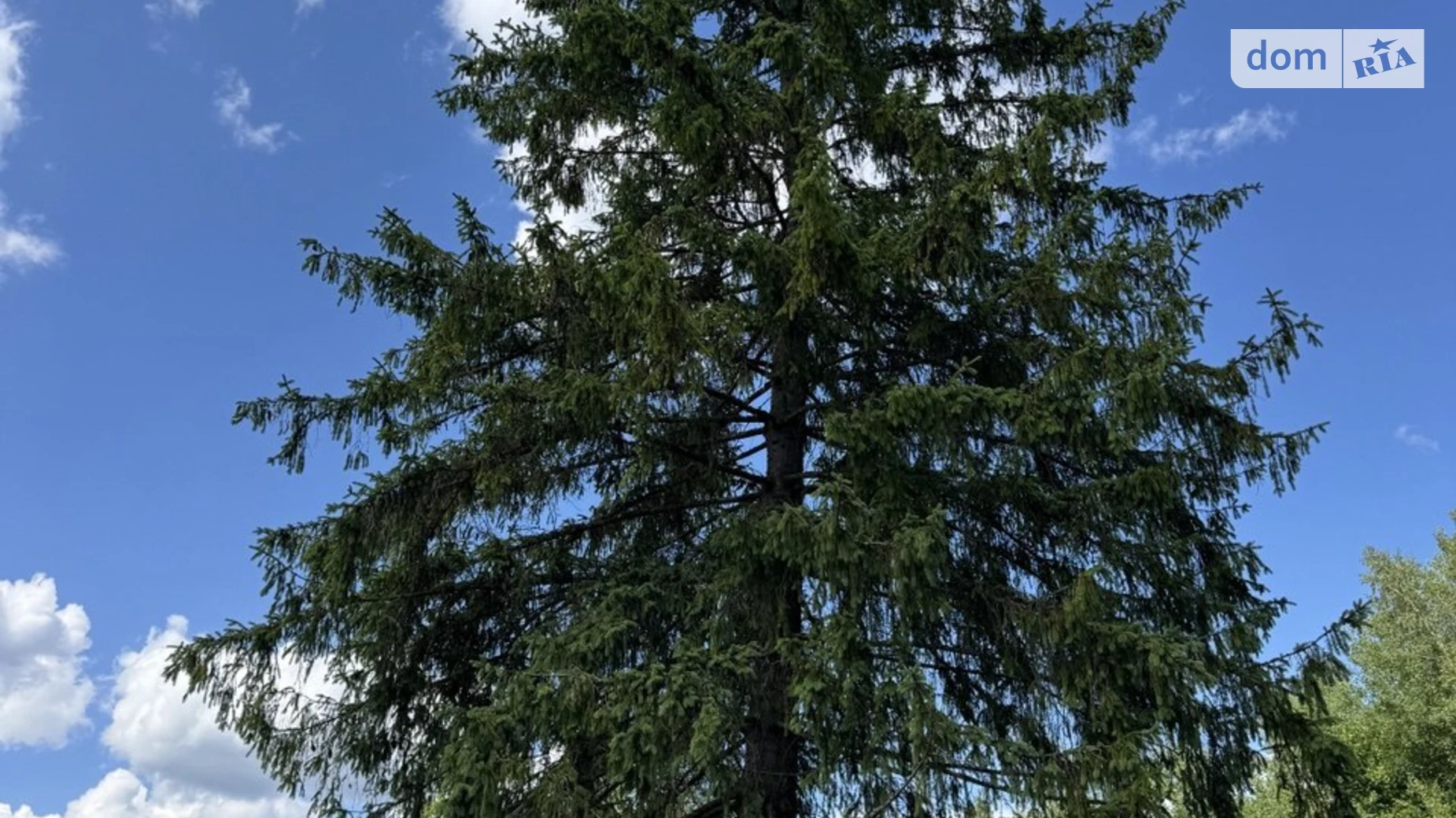 Продається земельна ділянка 0.144 соток у Львівській області, цена: 22000 $ - фото 4