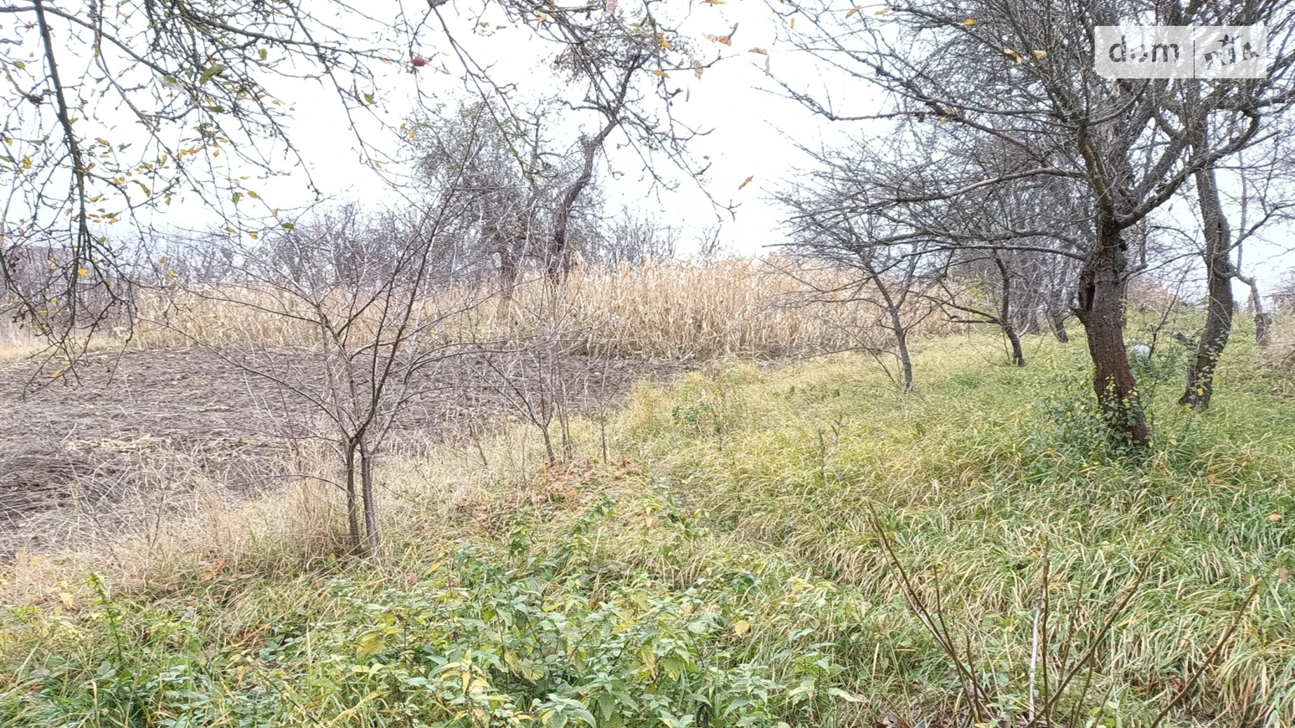 Продається одноповерховий будинок 62.5 кв. м с басейном, цена: 26500 $ - фото 4