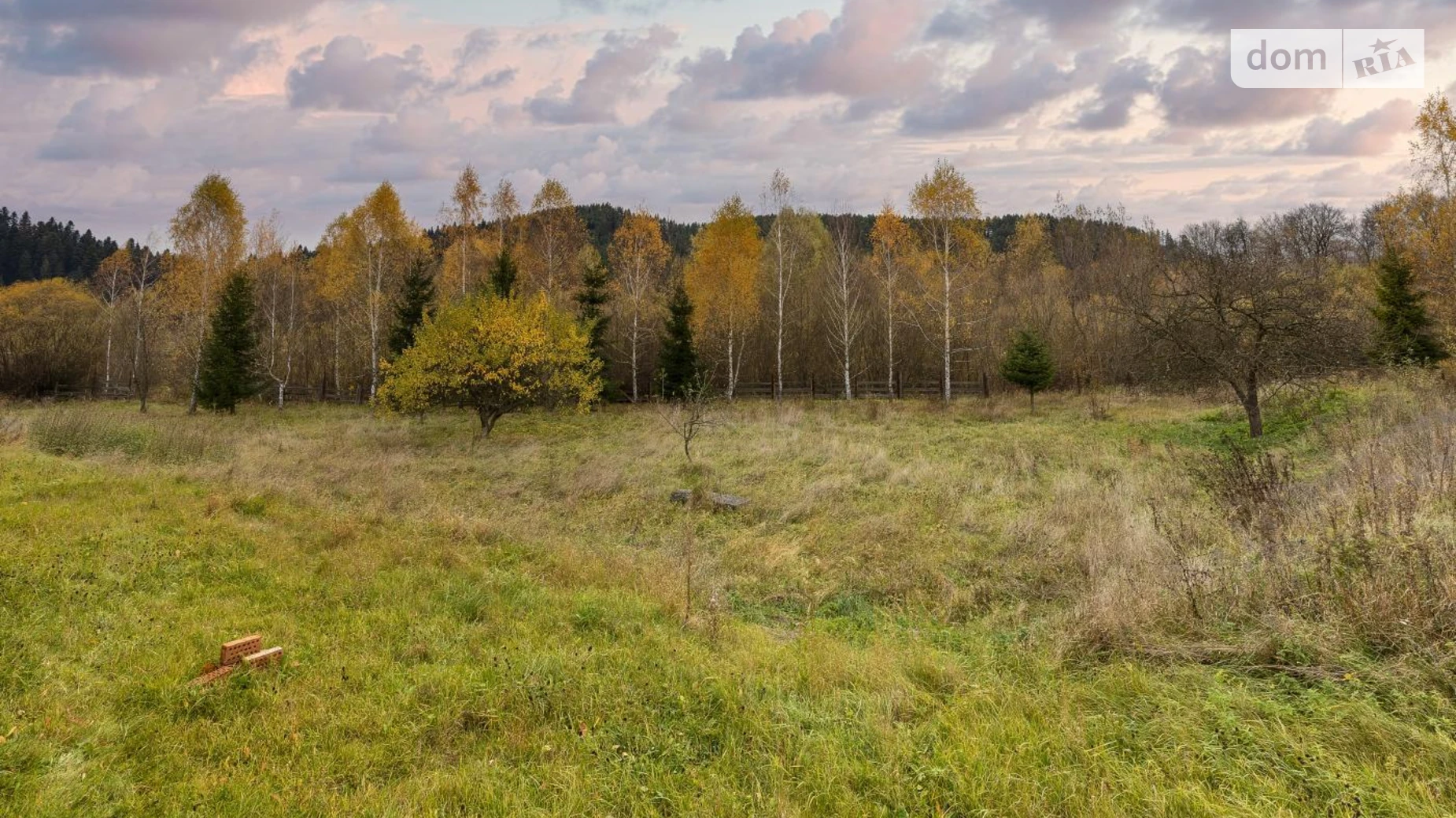 ул. Леси Украинки Спас, цена: 200000 $ - фото 4
