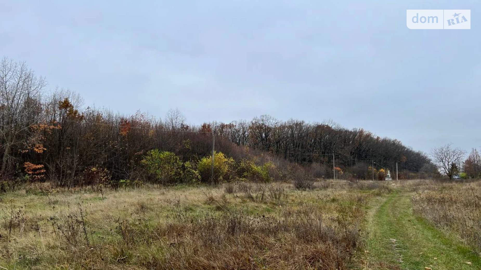 Сдается в аренду земельный участок 50 соток в Винницкой области, цена: 150000 грн - фото 4
