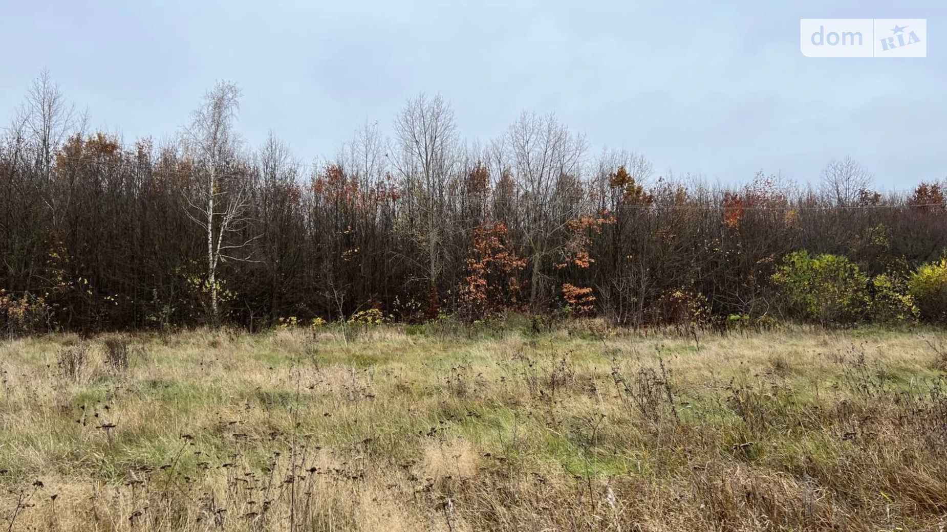 Сдается в аренду земельный участок 50 соток в Винницкой области, цена: 150000 грн - фото 5