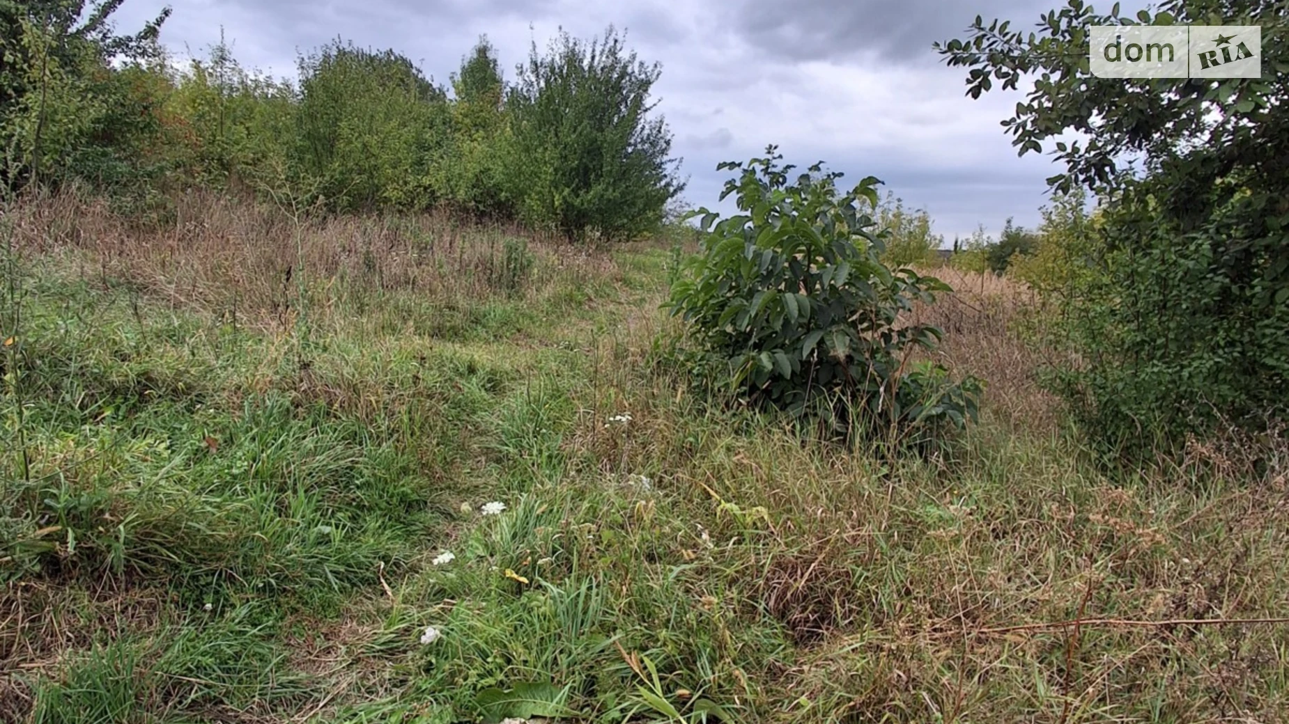 Продається земельна ділянка 13 соток у Тернопільській області, цена: 40000 $ - фото 2