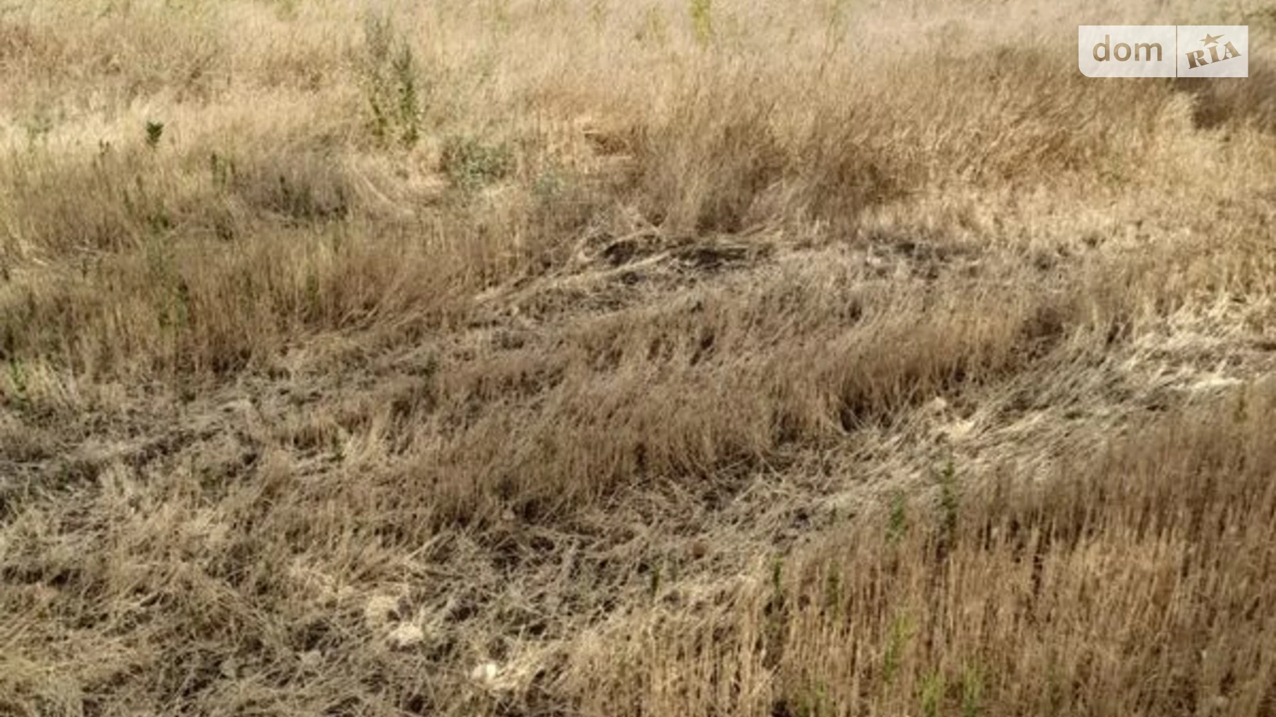 Сдается в аренду земельный участок 5.8221 соток в Днепропетровской области, цена: 25051 грн - фото 2