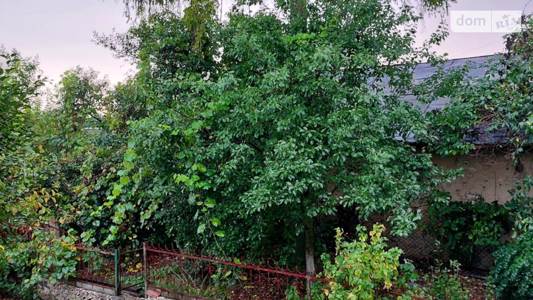 Продається одноповерховий будинок 100 кв. м з бесідкою, цена: 30000 $ - фото 3