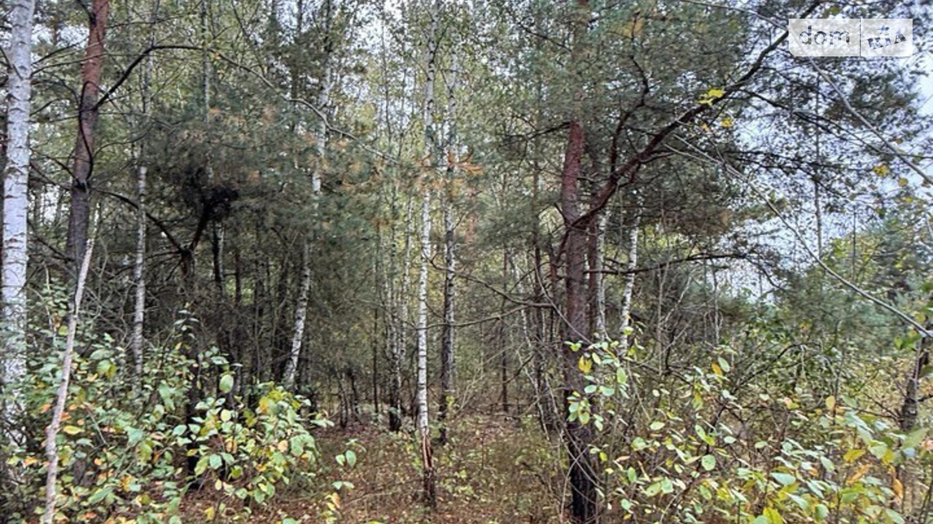 Продается земельный участок 8 соток в Киевской области, цена: 72000 $ - фото 4