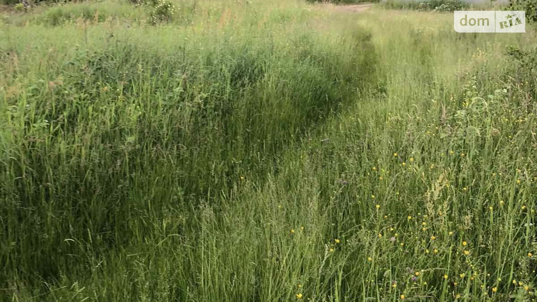 Продается земельный участок 31.29 соток в Закарпатской области, цена: 14900 $ - фото 4