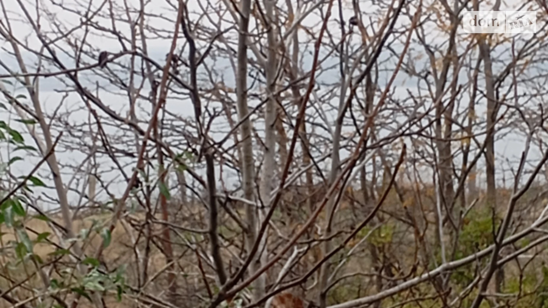 Продается дом на 2 этажа 100 кв. м с подвалом, цена: 22000 $ - фото 4