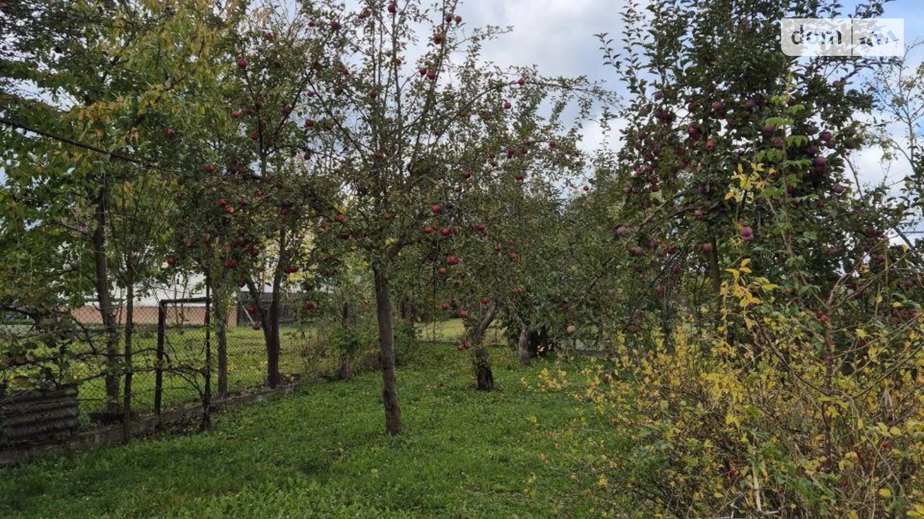 ул. Тараса Шевченко Старый Лисец, цена: 70000 $ - фото 2