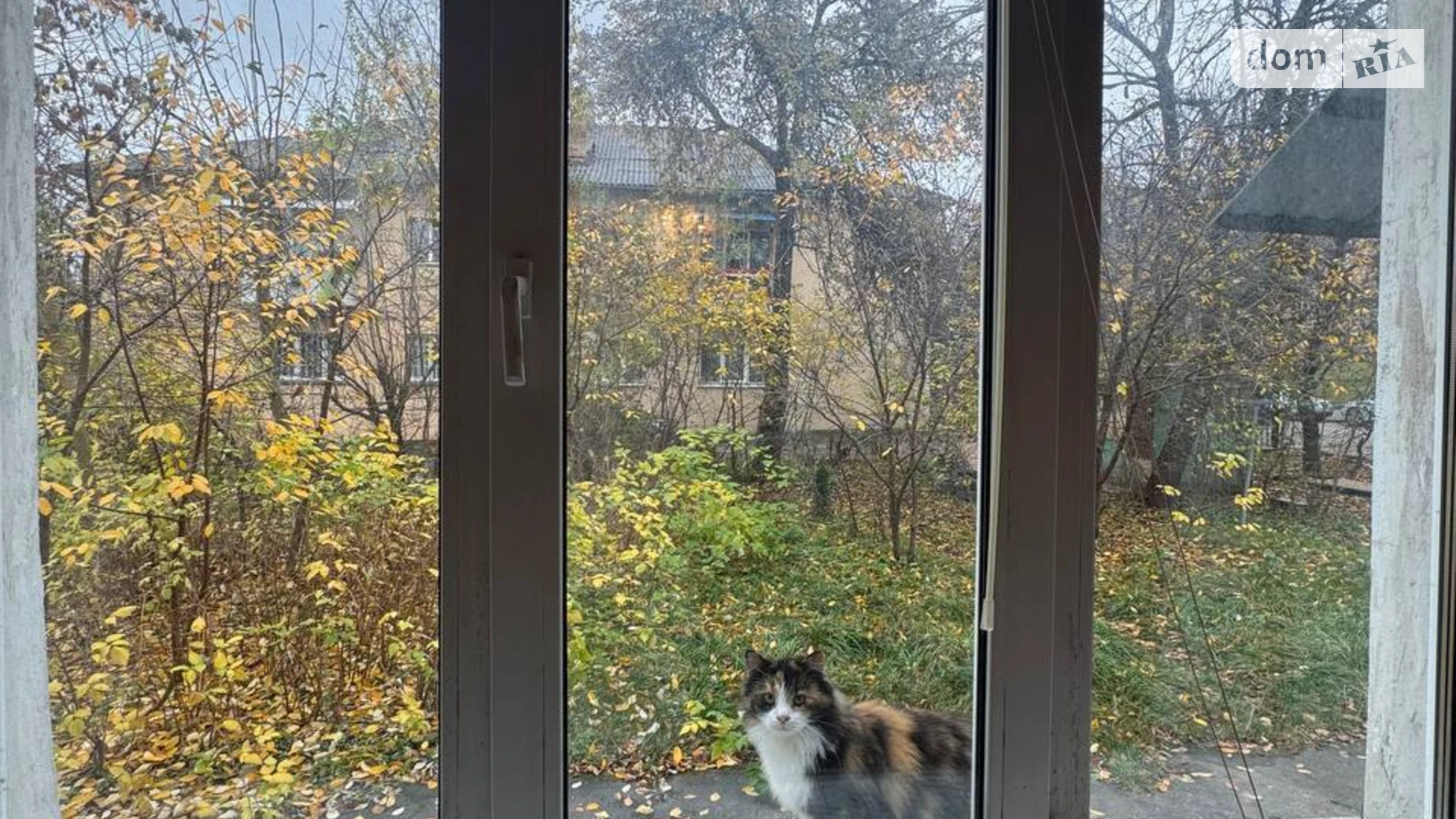 Продается 2-комнатная квартира 41 кв. м в Ровно, ул. Олексы Новака - фото 2