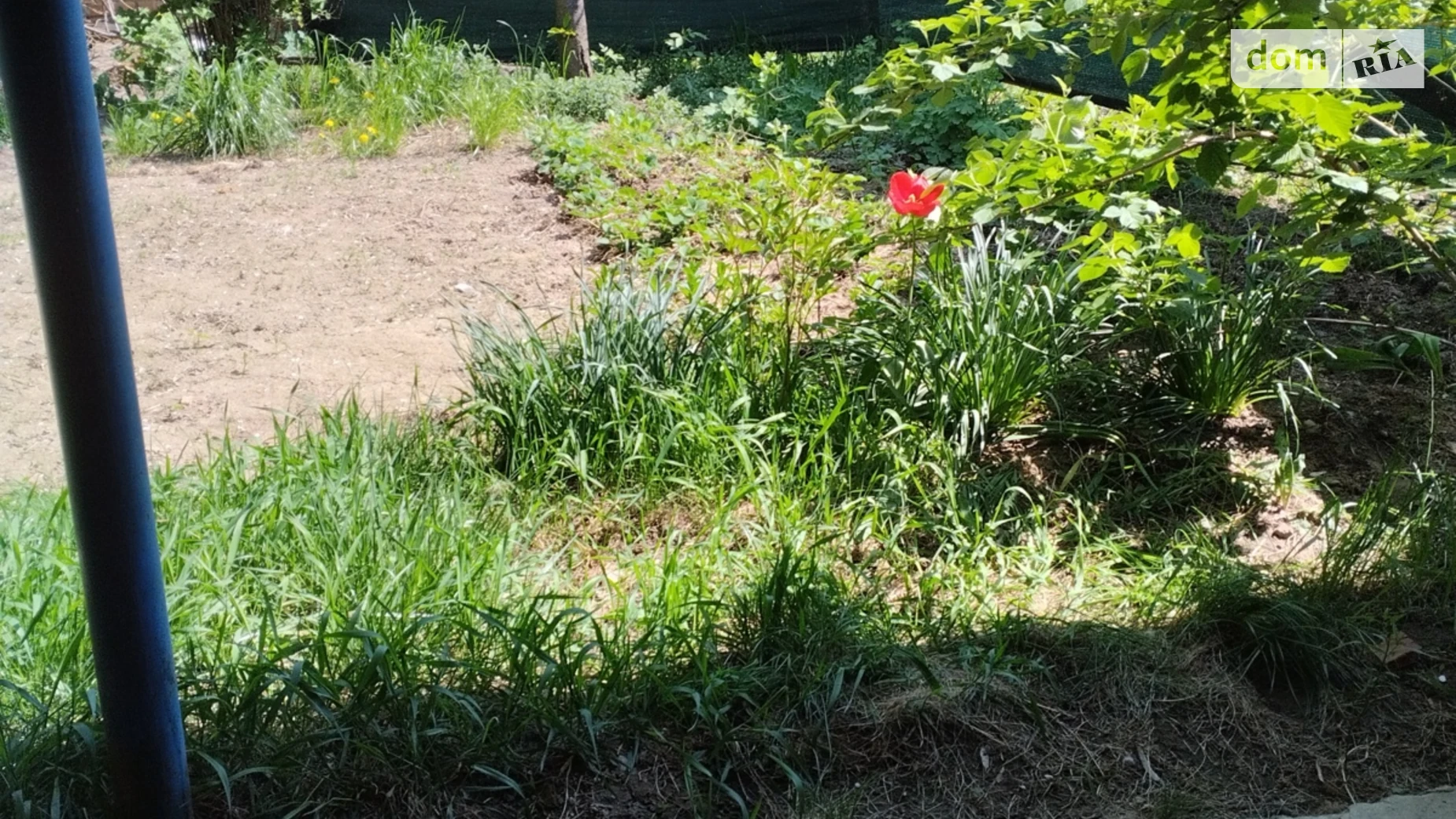 Сдается в аренду 1-комнатная квартира 33.3 кв. м в Виннице, ул. Данила Нечая, 59 - фото 3