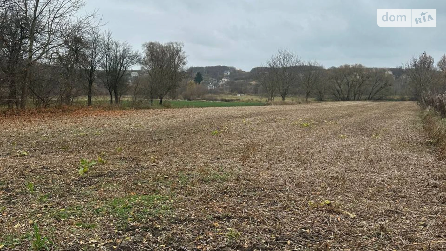 Продается земельный участок 59 соток в Ровенской области, цена: 17000 $ - фото 2