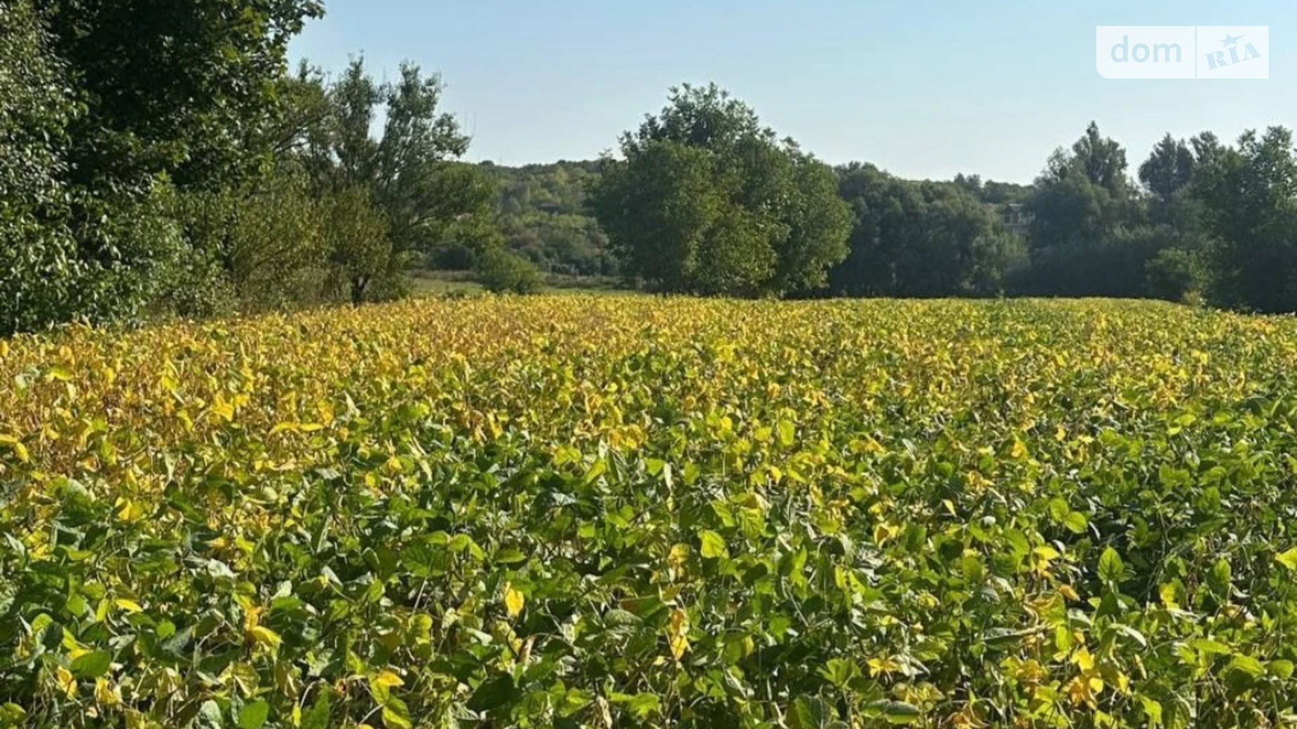 Продается земельный участок 59 соток в Ровенской области, цена: 17000 $ - фото 3