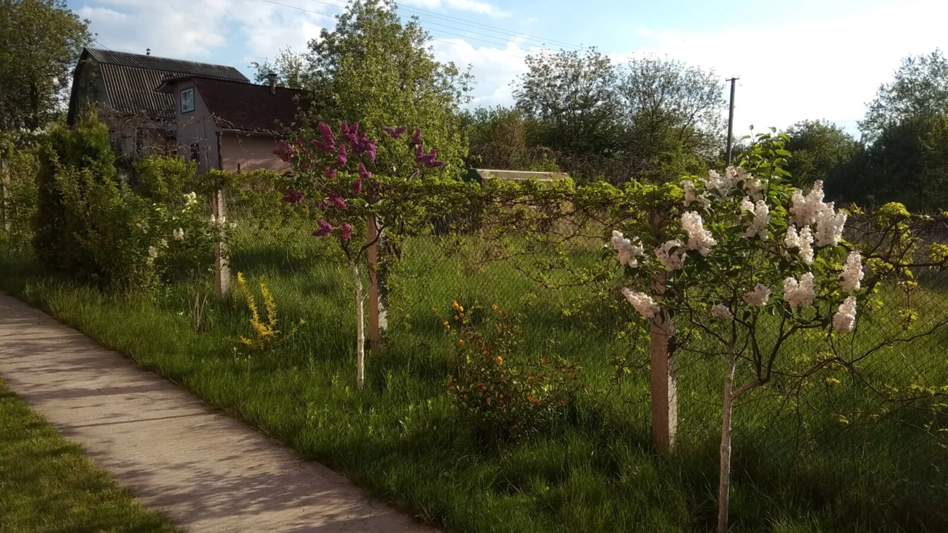 Продается дом на 2 этажа 117.4 кв. м с садом, цена: 165000 $ - фото 2