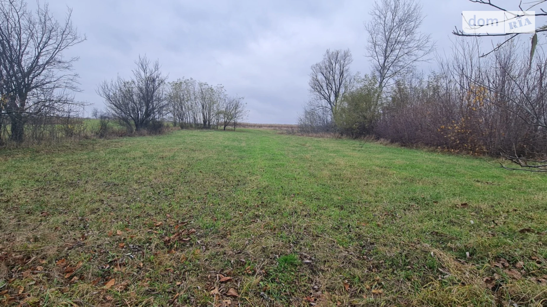 Продается земельный участок 12 соток в Винницкой области, цена: 4000 $ - фото 2