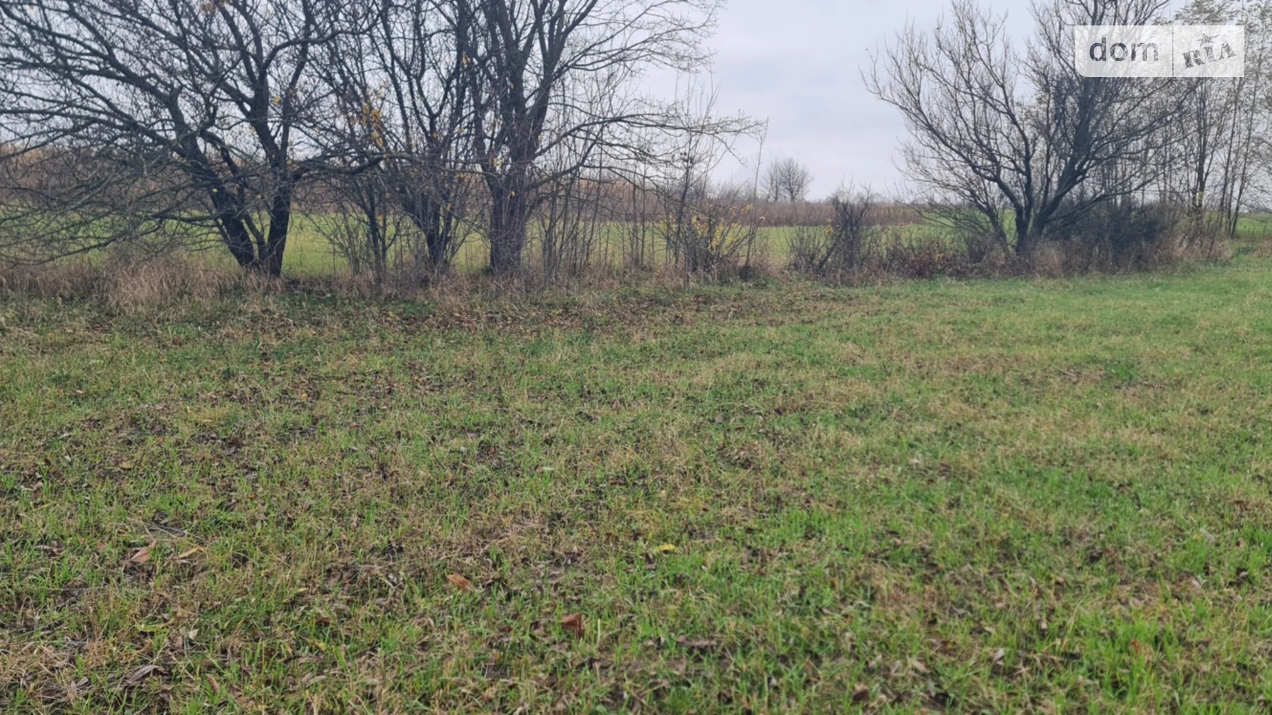 Продается земельный участок 12 соток в Винницкой области, цена: 4000 $ - фото 4