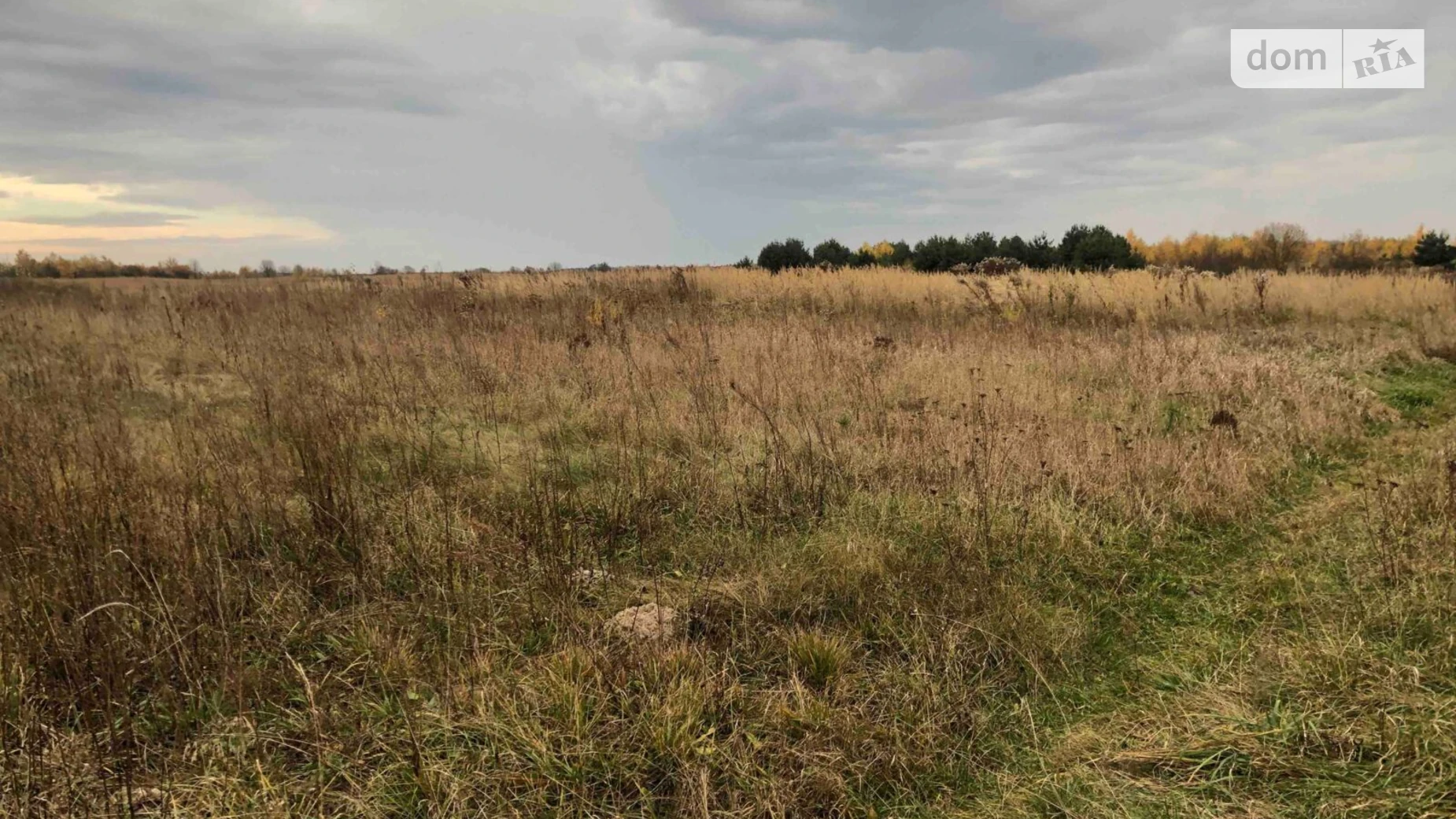 Сдается в аренду земельный участок 11.8129 соток в Волынской области, цена: 13996 грн - фото 2