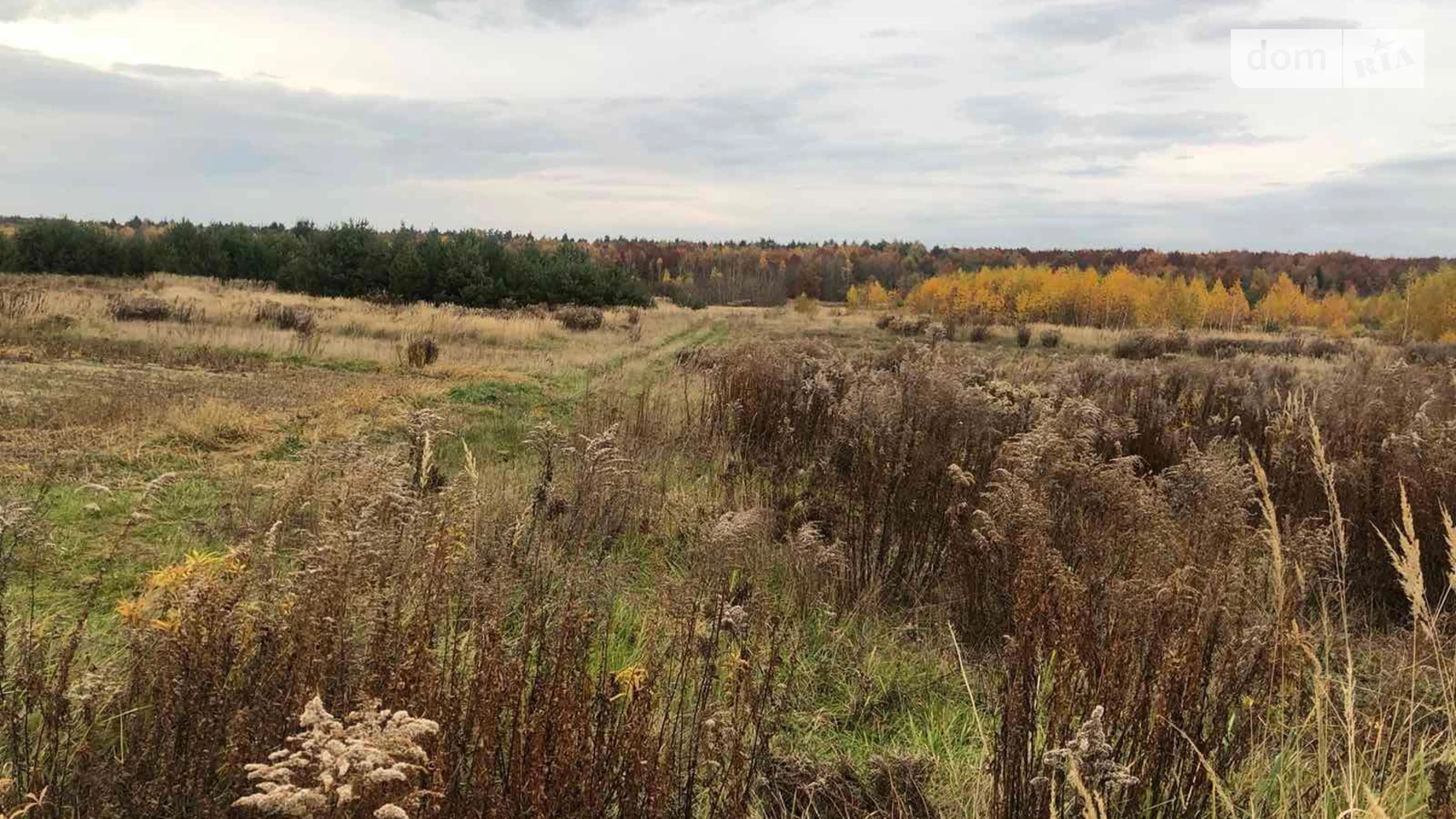 Сдается в аренду земельный участок 11.8129 соток в Волынской области, цена: 13996 грн - фото 3