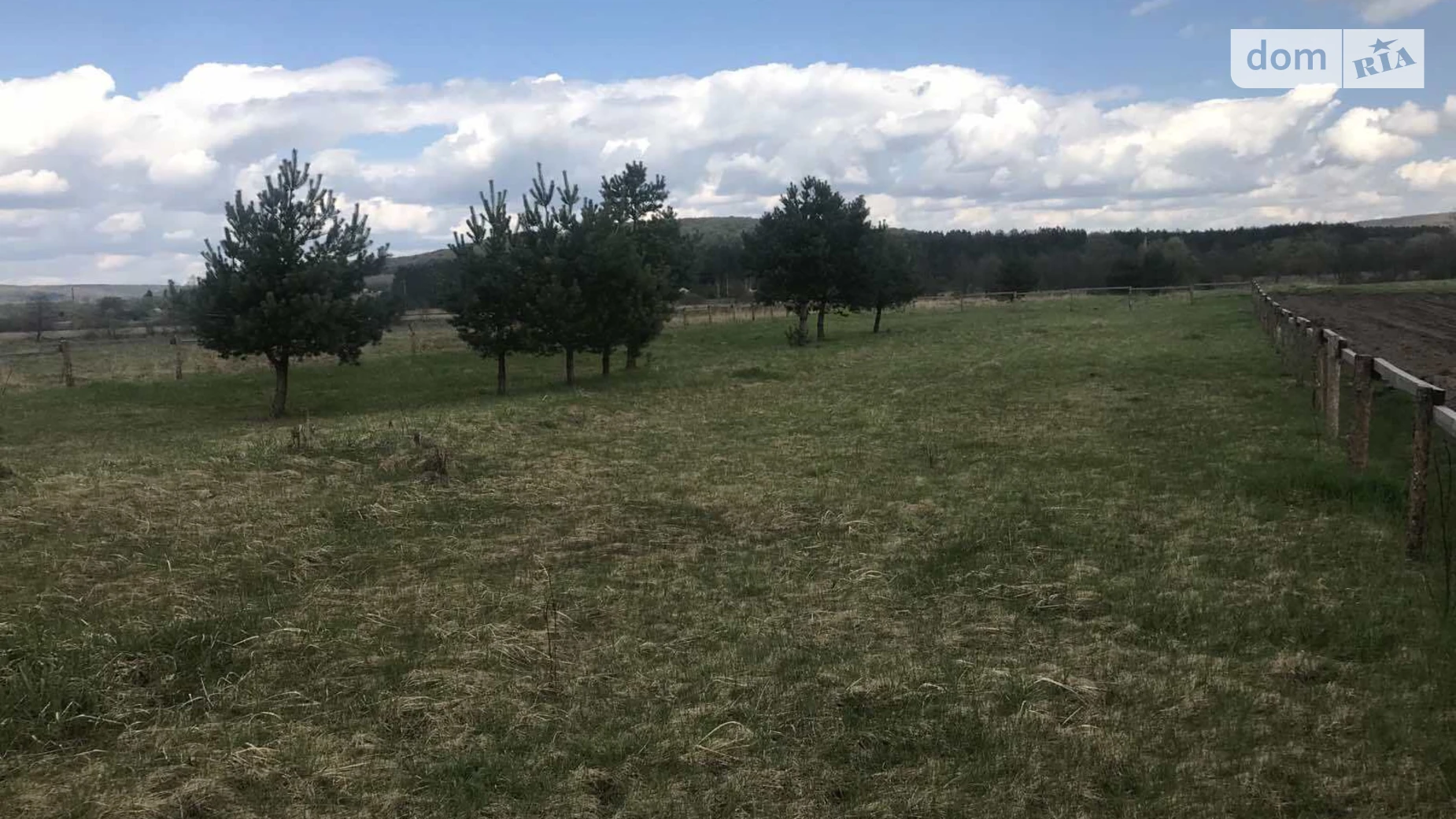 Сасов, цена: 1 $ - фото 2