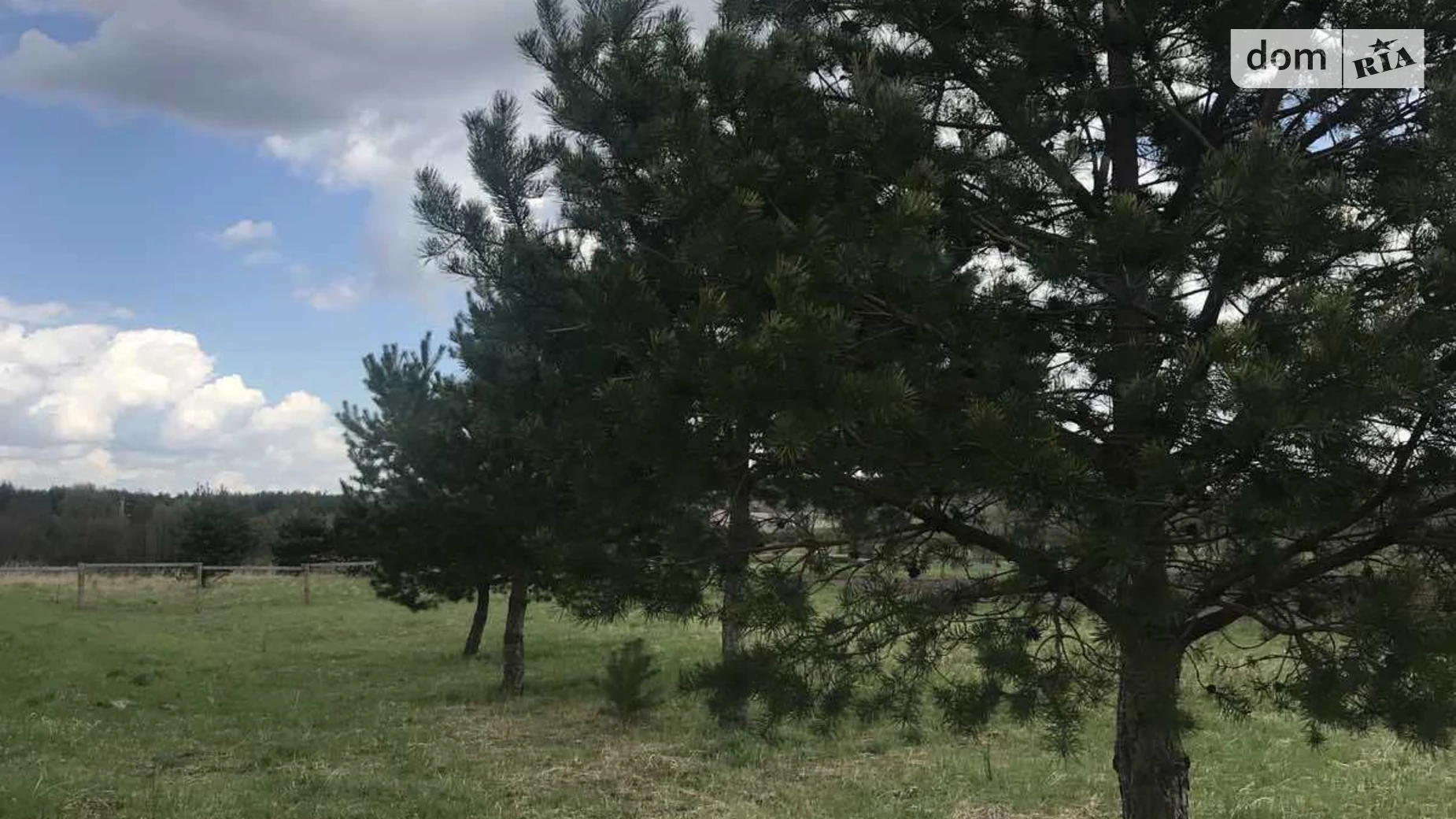 Сасов, цена: 1 $ - фото 3