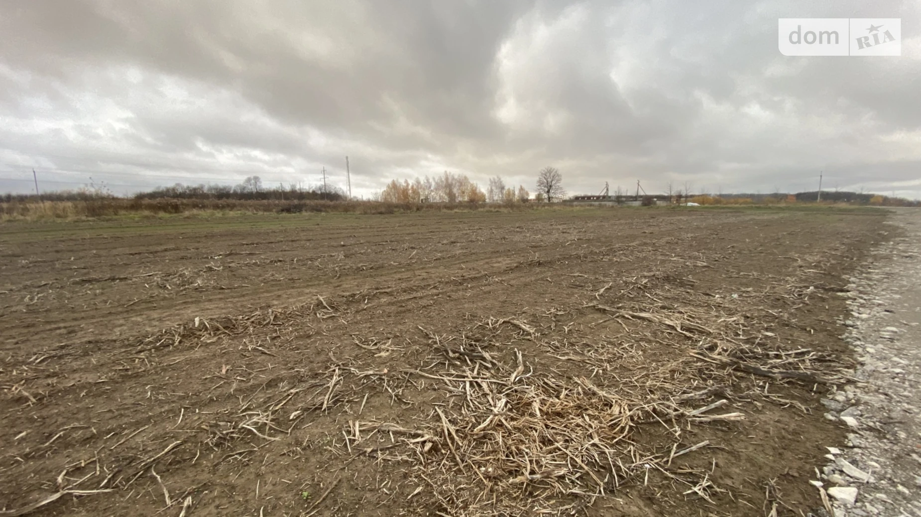 Продается земельный участок 40 соток в Винницкой области, цена: 30000 $ - фото 5