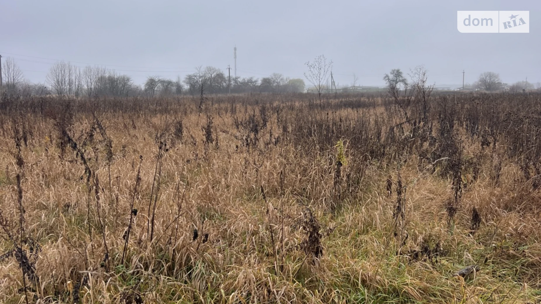 вул. Івана Франка Юзвин, цена: 35000 $ - фото 2