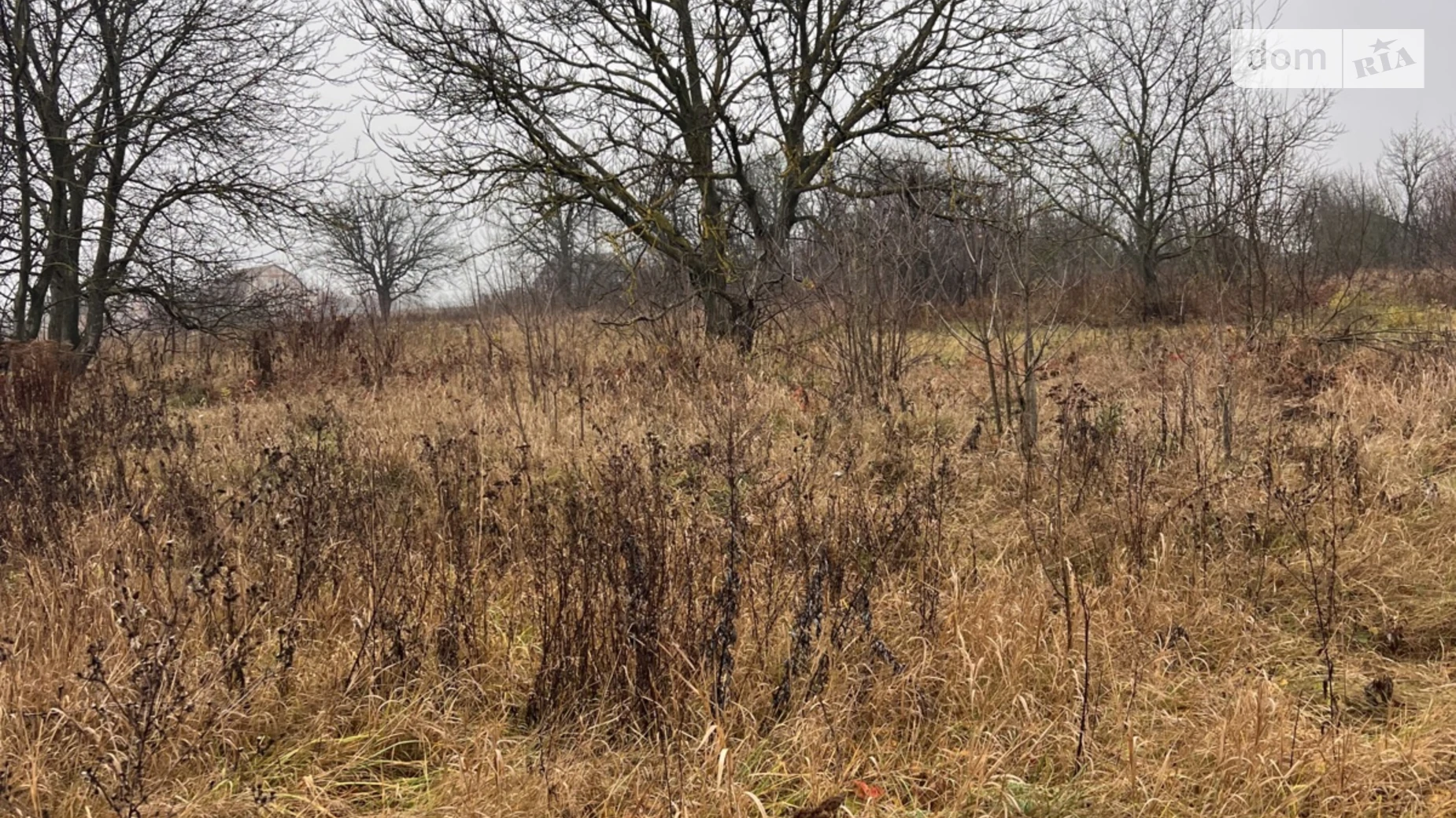 вул. Івана Франка Юзвин, цена: 35000 $ - фото 3