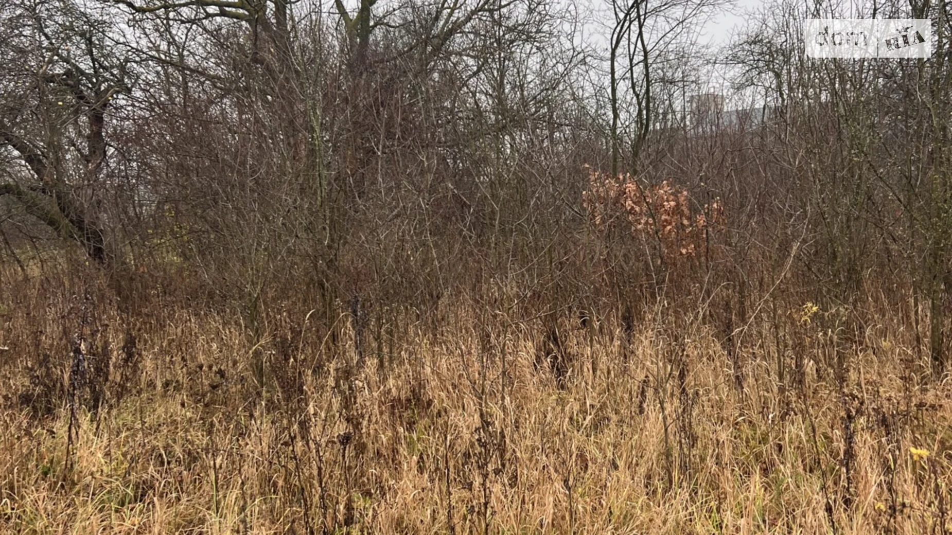 вул. Івана Франка Юзвин, цена: 35000 $ - фото 4