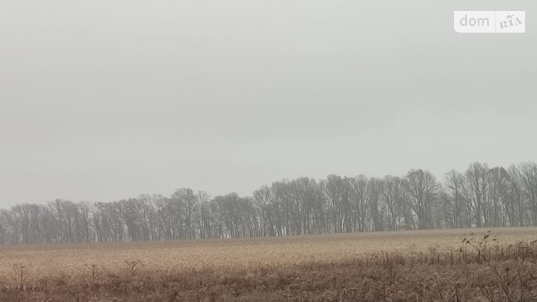 Продается земельный участок 1.32 соток в Винницкой области, цена: 100000 $ - фото 2