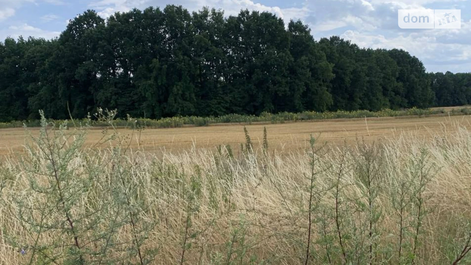 Продается земельный участок 12 соток в Киевской области, цена: 4800 $ - фото 3