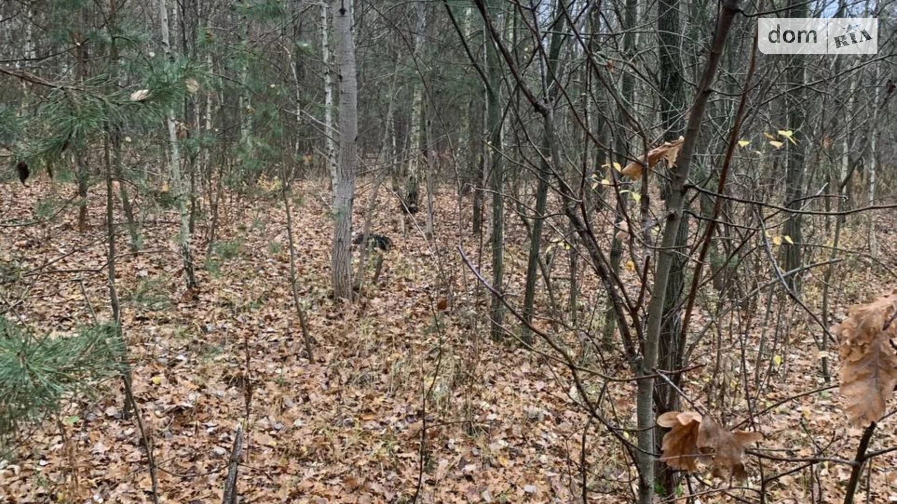 Продается земельный участок 12 соток в Киевской области, цена: 4800 $ - фото 5