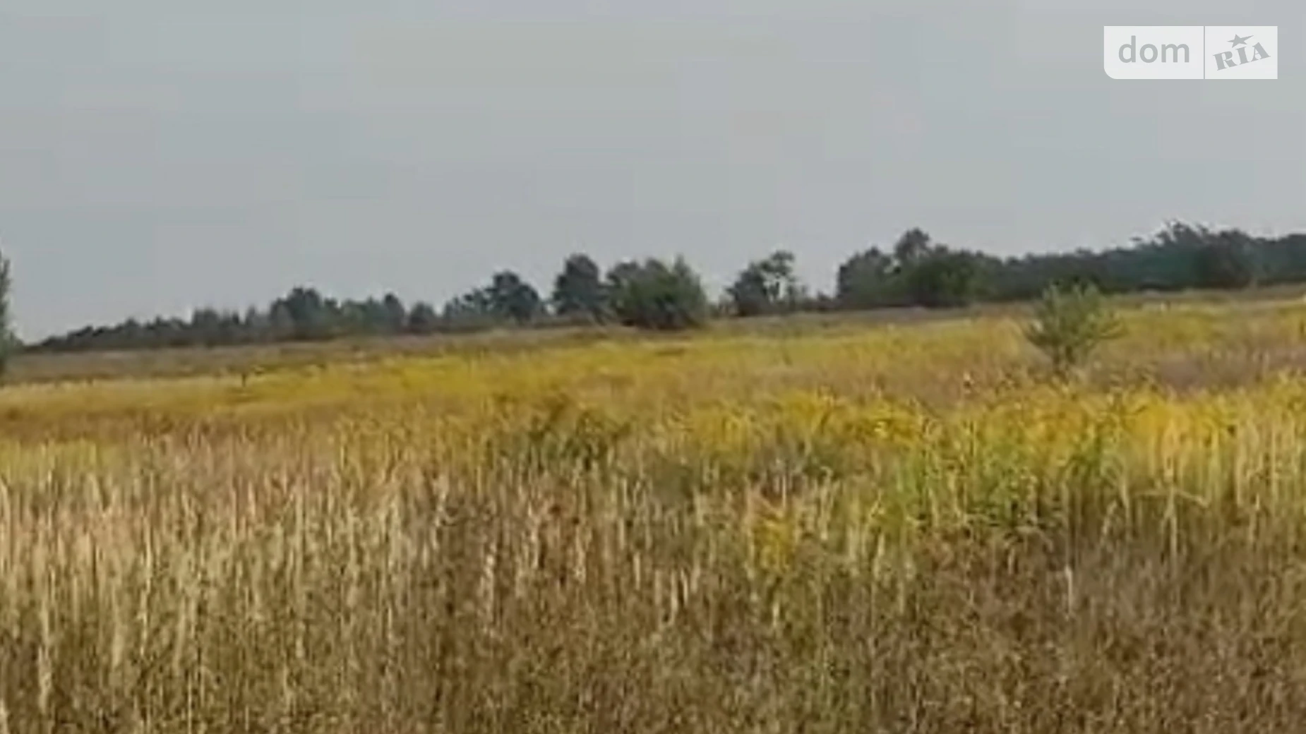 Продается земельный участок 11.85 соток в Киевской области, цена: 5000 $ - фото 2