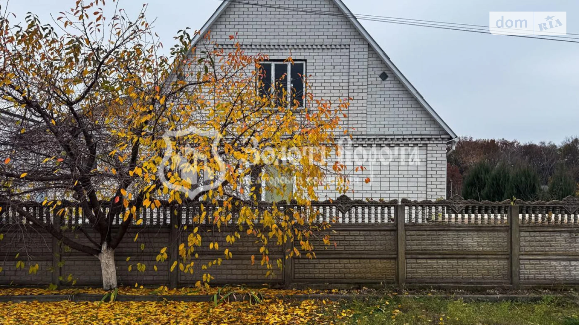 ул. Семьи Сидоренков улиця, 4 Великая Димерка, цена: 140000 $ - фото 4