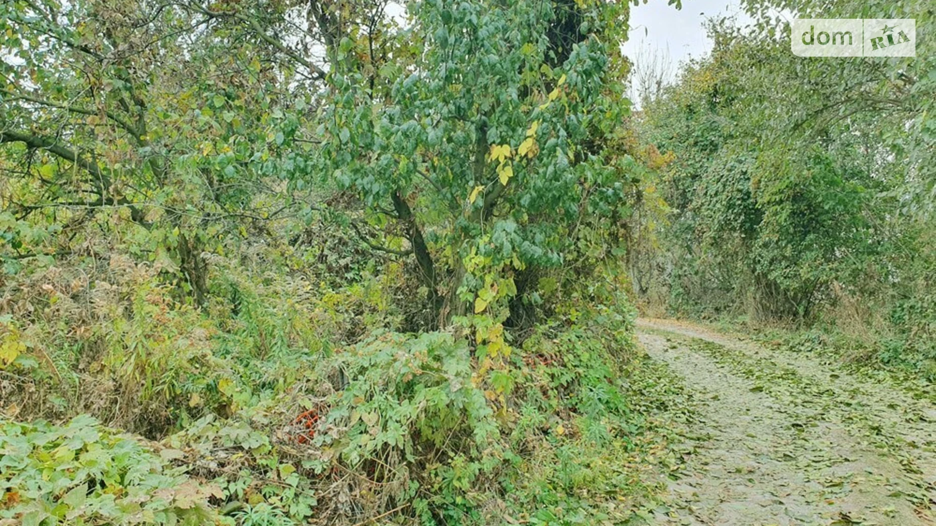 Продается дом на 2 этажа 65 кв. м с балконом, цена: 13000 $ - фото 4