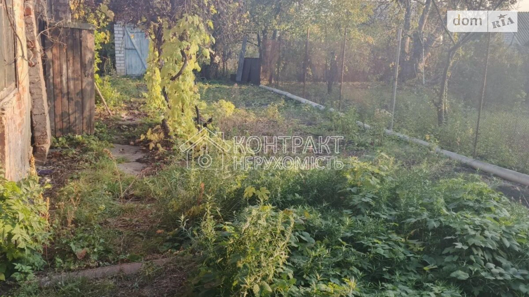 Продается одноэтажный дом 97 кв. м с подвалом, цена: 29700 $ - фото 2