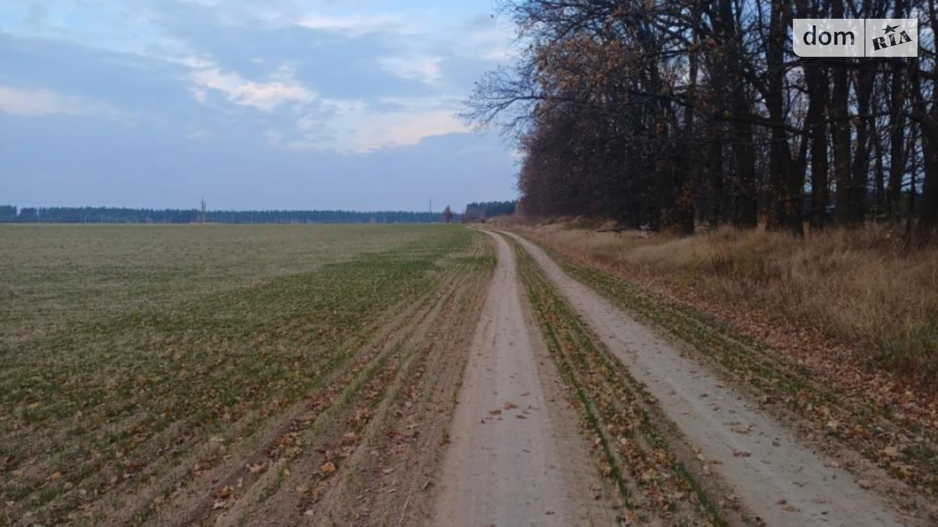 Продается земельный участок 302.25 соток в Киевской области, цена: 160000 $ - фото 3